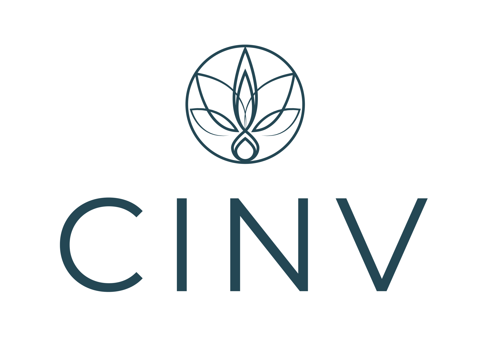 cinv_site
